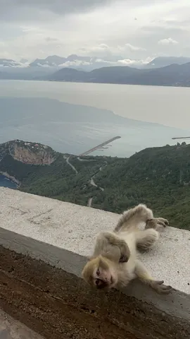 Algeria